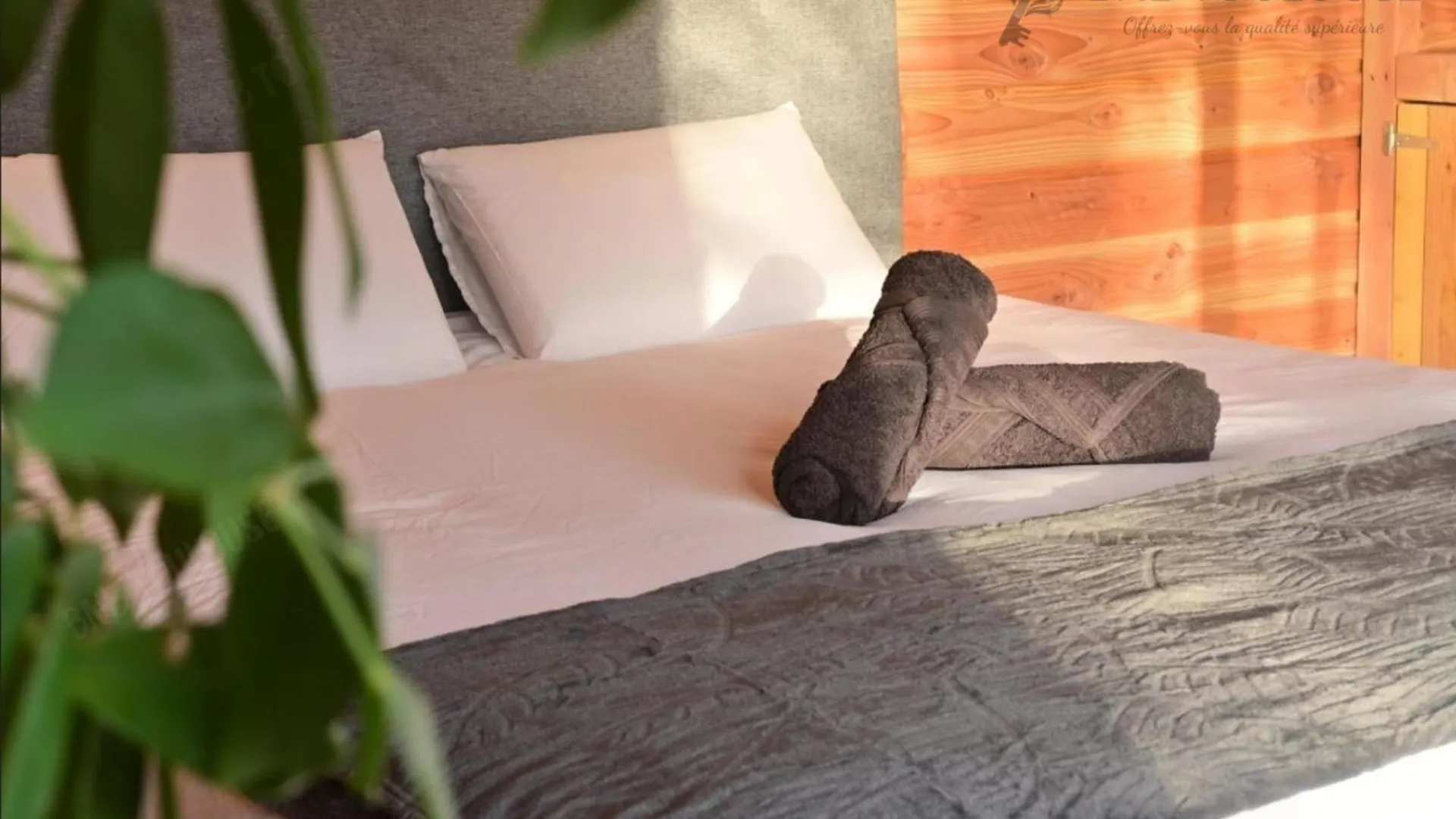 Bnb Toulouse - Le Chalet Des Coteaux - Cadre Magnifique - Wifi - Parking Castelginest 0*,
