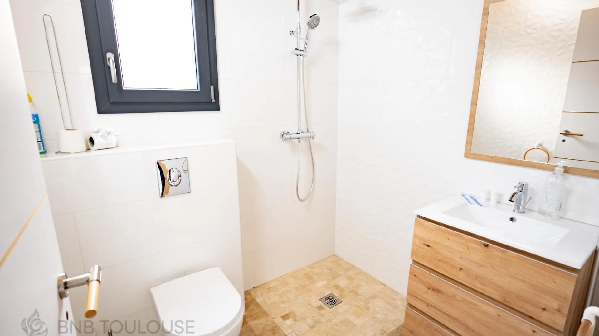 Apartment Bnb Toulouse - Le Chalet Des Coteaux - Cadre Magnifique - Wifi - Parking Castelginest France