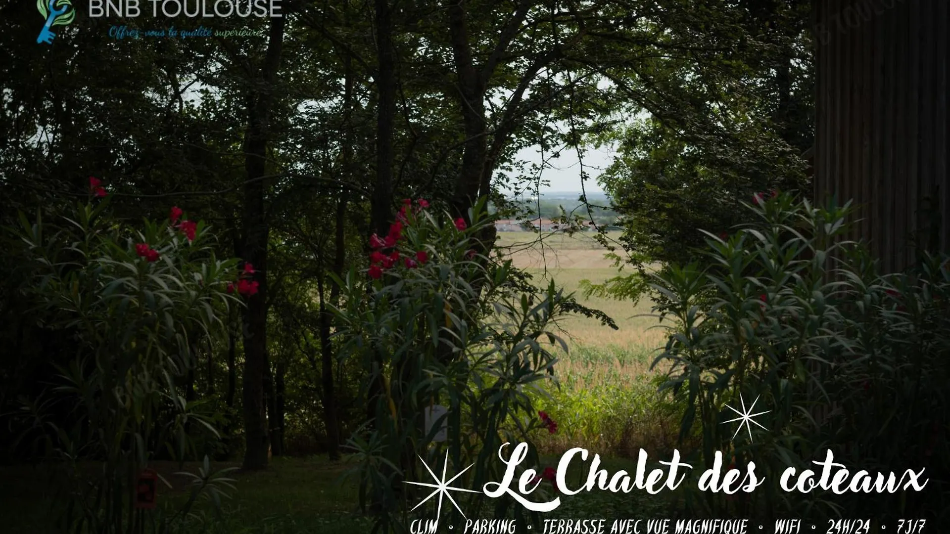 Bnb Toulouse - Le Chalet Des Coteaux - Cadre Magnifique - Wifi - Parking Castelginest France