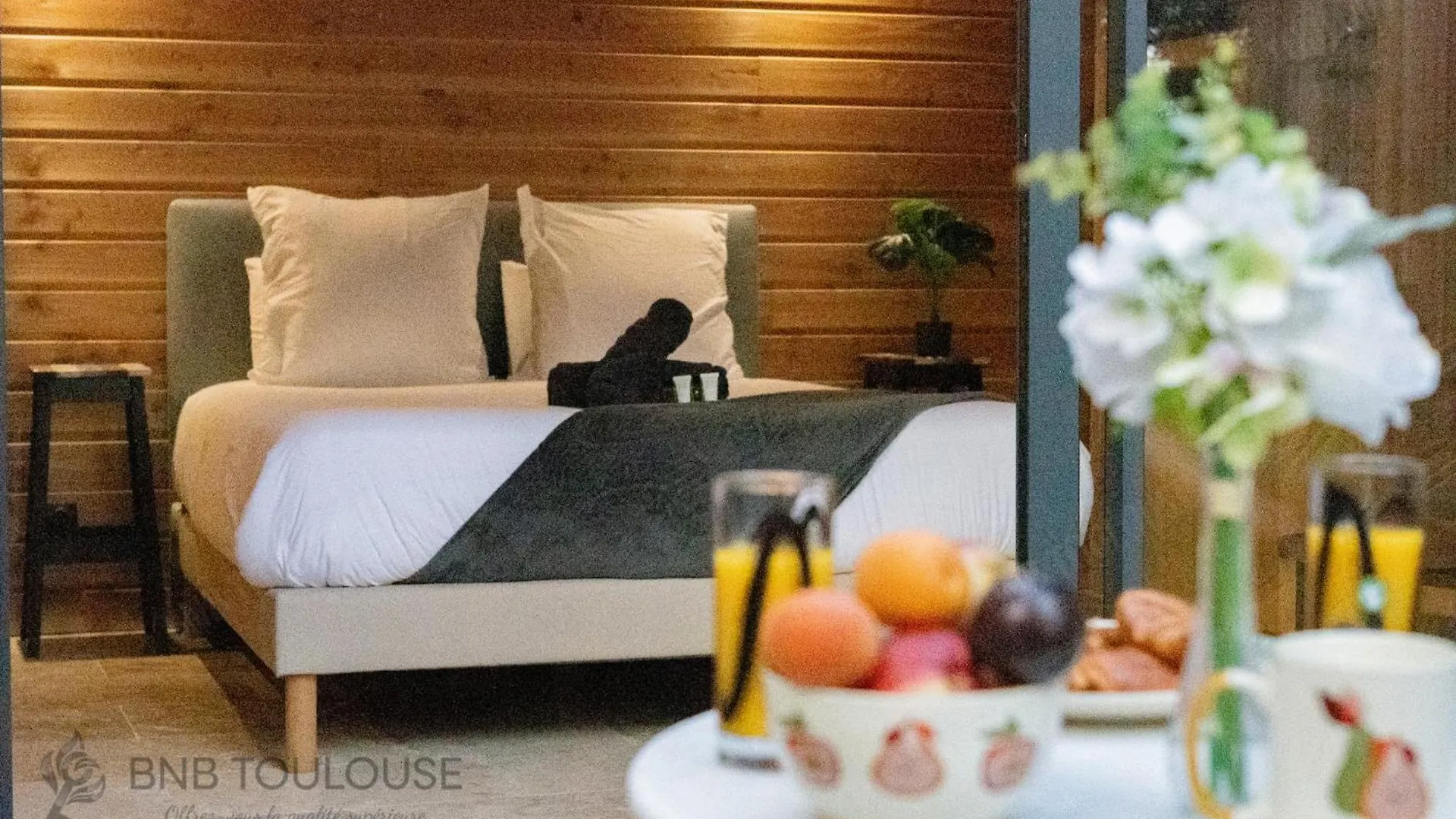Apartment Bnb Toulouse - Le Chalet Des Coteaux - Cadre Magnifique - Wifi - Parking Castelginest