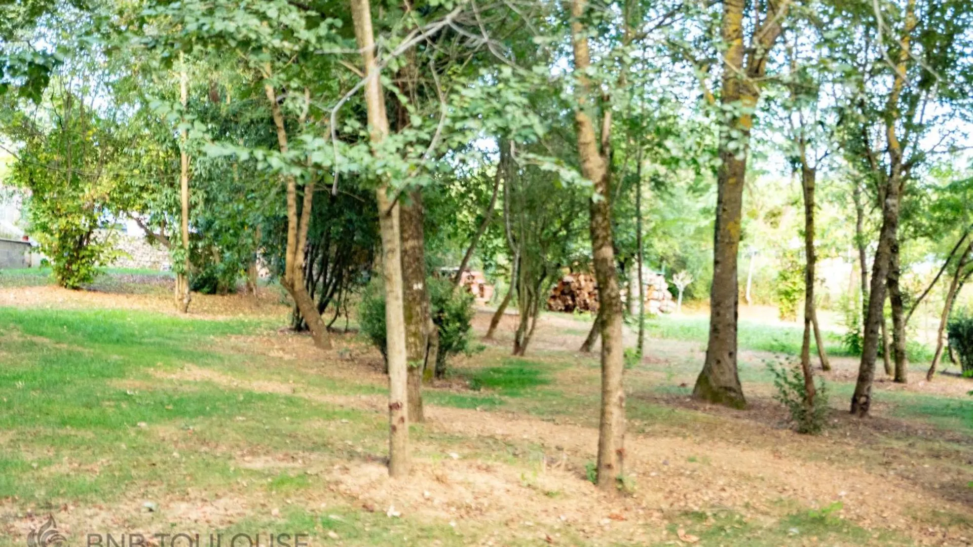 Bnb Toulouse - Le Chalet Des Coteaux - Cadre Magnifique - Wifi - Parking Castelginest Apartment