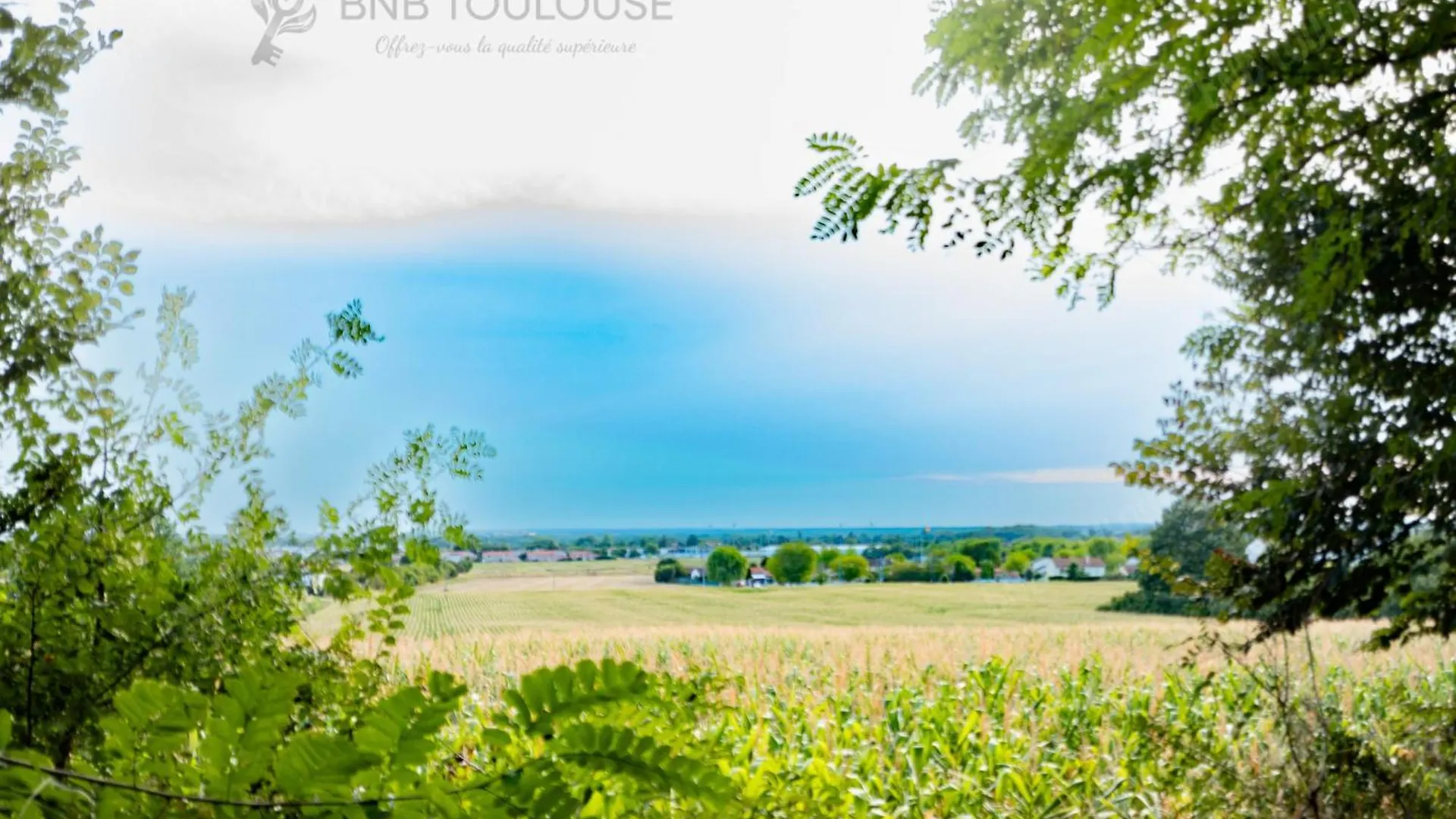 Bnb Toulouse - Le Chalet Des Coteaux - Cadre Magnifique - Wifi - Parking Castelginest 0*,  France